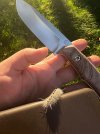 IMG_7665.jpeg