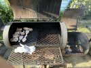 IMG_5466.jpeg