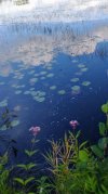 IMG_20250828_165126373~6.jpg