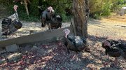 IMG_2866.jpeg