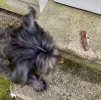 IMG_6876.jpeg