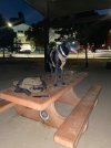 IMG_9220.jpeg