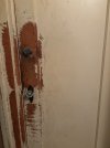 IMG_2671.jpeg