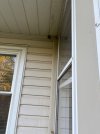 IMG_4675.jpeg
