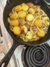 IMG_6951.jpeg