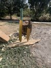 IMG_6739.jpeg