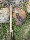 IMG_7133.jpeg