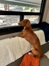 IMG_2836.jpeg