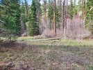 20240323_151258.jpg