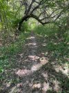 IMG_0718.jpeg