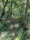IMG_0719.jpeg
