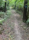 IMG_0723.jpeg