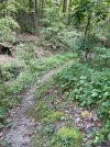 IMG_0724.jpeg