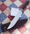 Tomberlin Bowie (5 of 5).jpg