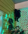 IMG_7025.jpeg