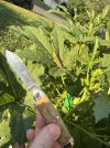 IMG_2210.jpeg