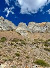 IMG_2868.jpeg