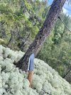 IMG_4705.jpeg