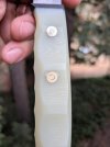 PXL_20250905_002351245.MACRO_FOCUS.jpg