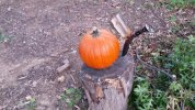 20141005_180348_resized.jpg