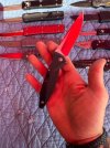 IMG_7872.jpeg