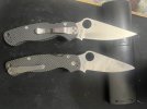 IMG_7411.jpeg