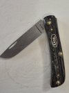 Case Sodbuster Jr. in Baffalo Horn.jpg