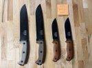 ESEE 1.jpg