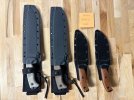 ESEE3.jpg