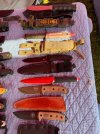 IMG_7865.jpeg