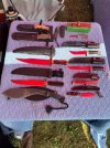 IMG_7866.jpeg