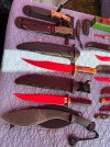 IMG_7867.jpeg