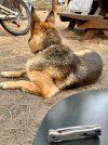 IMG_2975.jpeg