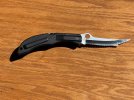 IMG_1972.jpeg