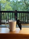 IMG_3712.jpeg