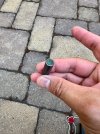 IMG_9922.jpeg