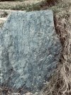 IMG_4553.jpeg