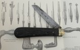 William Rodgers Bexoid Lambsfoot 1-1.JPG
