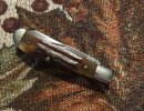 IMG_1469.jpeg
