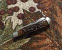 IMG_1467.jpeg