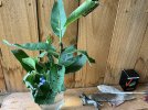 IMG_0924.jpeg