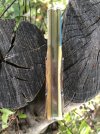 IMG_4170.jpeg