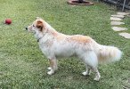 IMG_4920.jpeg