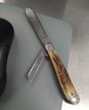 92 stag 9-25.jpg