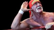 hogan1.jpg