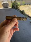 IMG_2130.jpeg