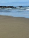 IMG_7932.jpeg