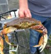 IMG_3130.jpeg