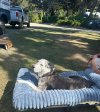 IMG_3114.jpeg