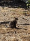IMG_2135.jpeg